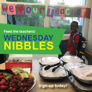 Wednesday_Nibbles